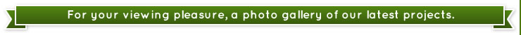 Photo Gallery